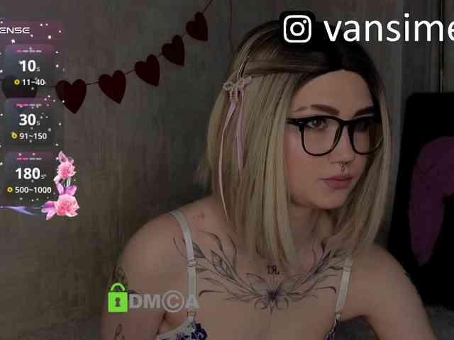 vaansi webcam