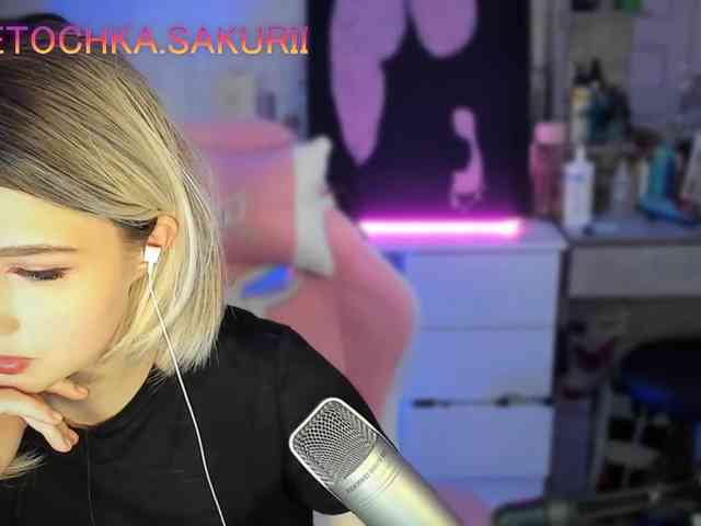 vanslly webcam