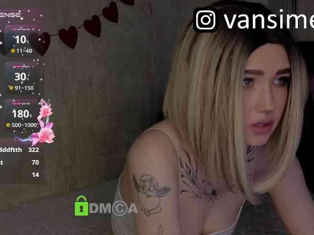 vaansi webcam