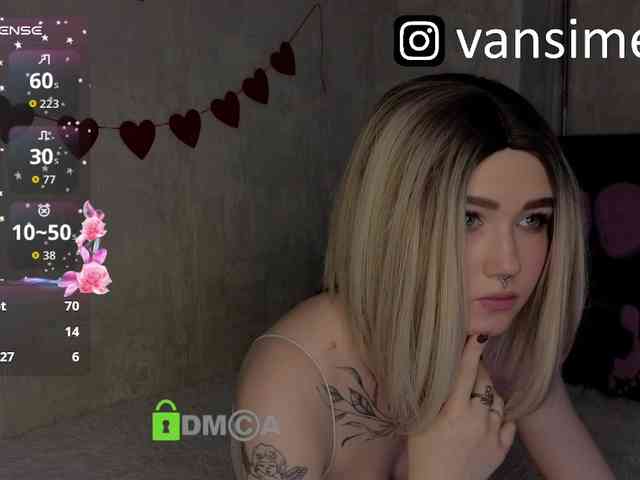 vaansi webcam