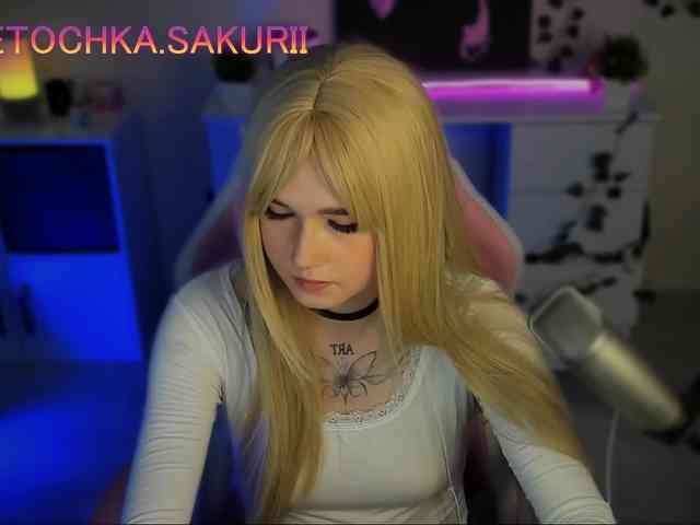 vanslly webcam