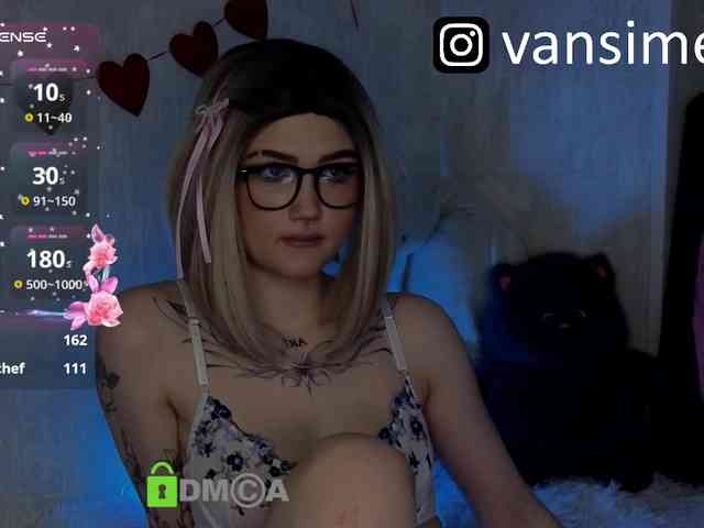 vaansi webcam