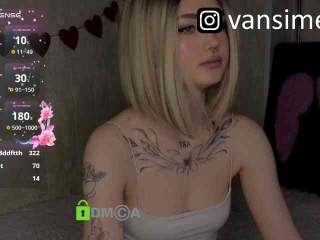 vaansi webcam