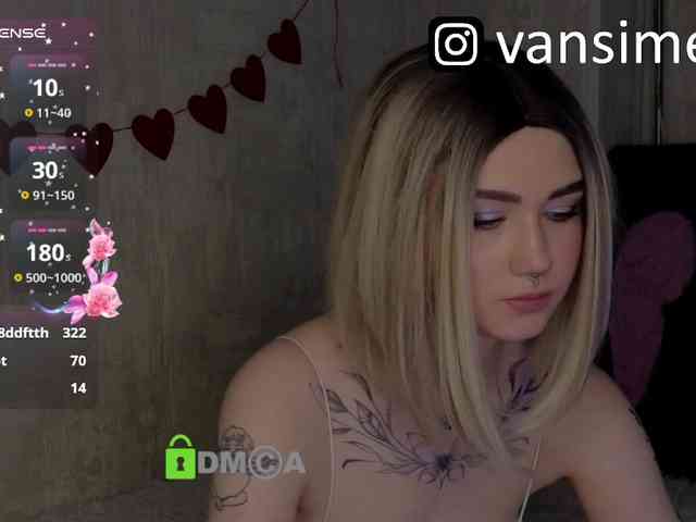 vaansi webcam