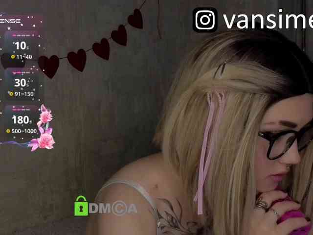 vaansi webcam