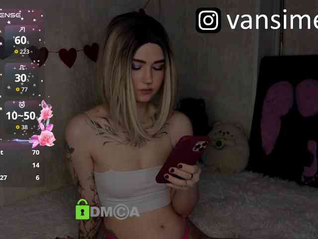 vaansi webcam