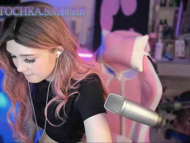 vanslly webcam