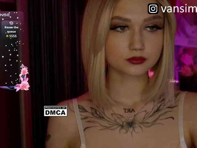 vanslly webcam