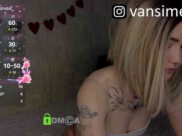 vaansi webcam