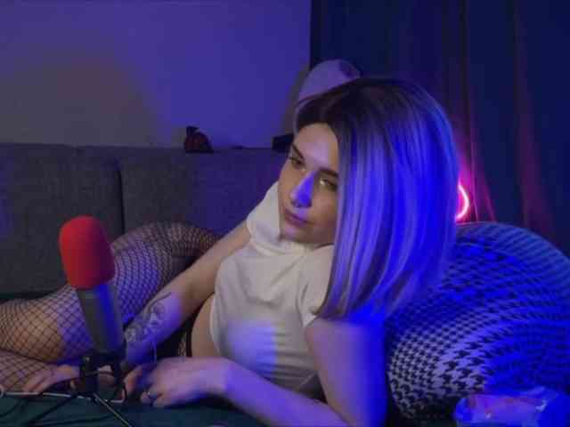 vanslly webcam