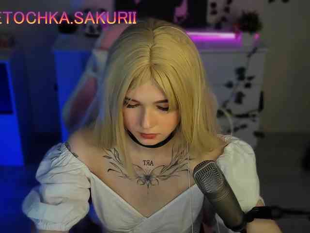 vanslly webcam