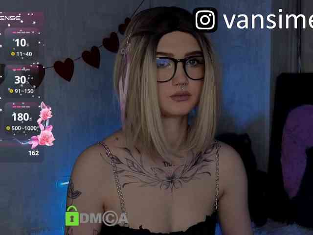vaansi webcam
