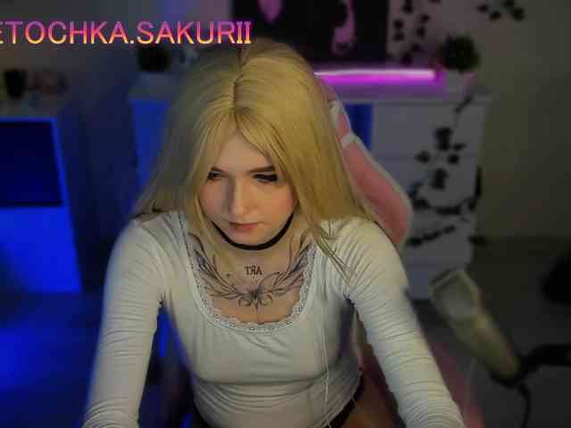 vanslly webcam