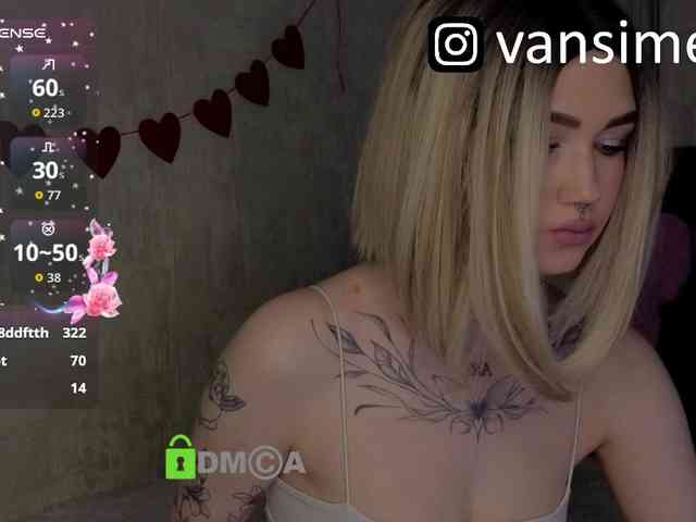 vaansi webcam