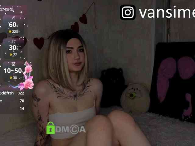 vaansi webcam