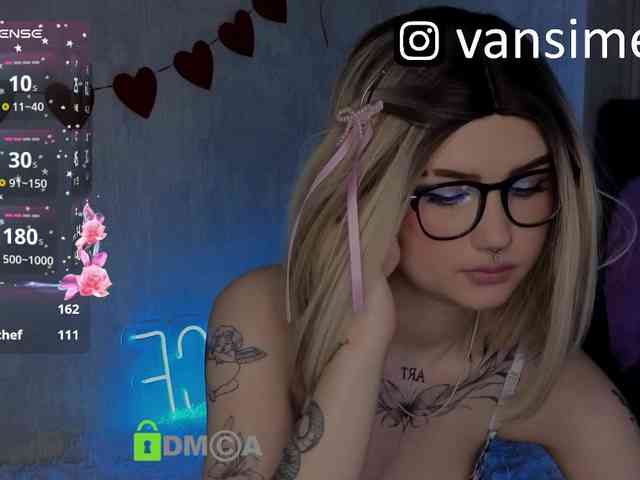 vaansi webcam