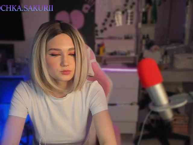 vanslly webcam
