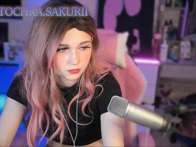 vanslly webcam