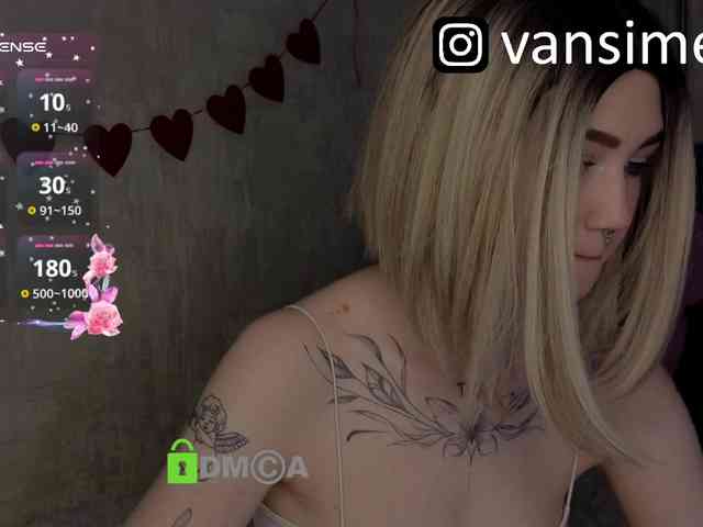 vaansi webcam