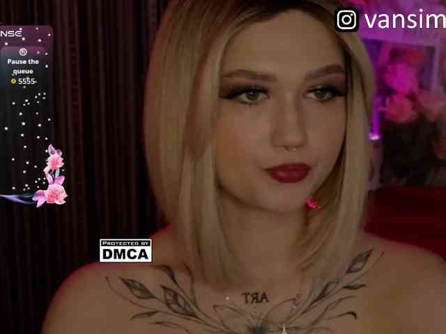 vanslly webcam