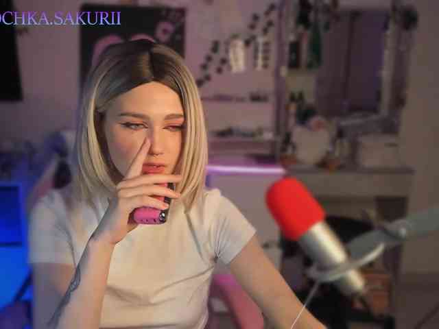 vanslly webcam