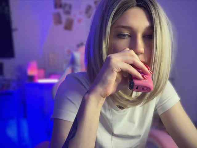 vanslly webcam