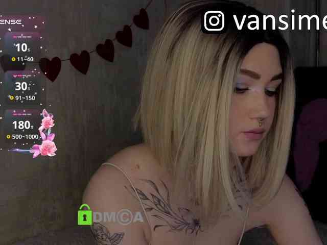 vaansi webcam