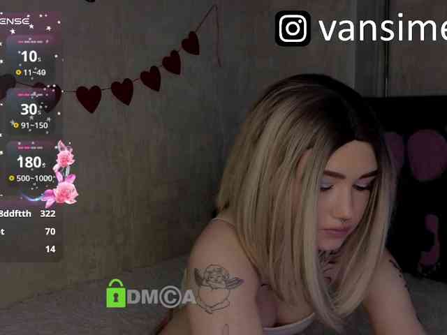 vaansi webcam
