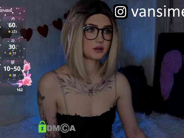 vaansi webcam
