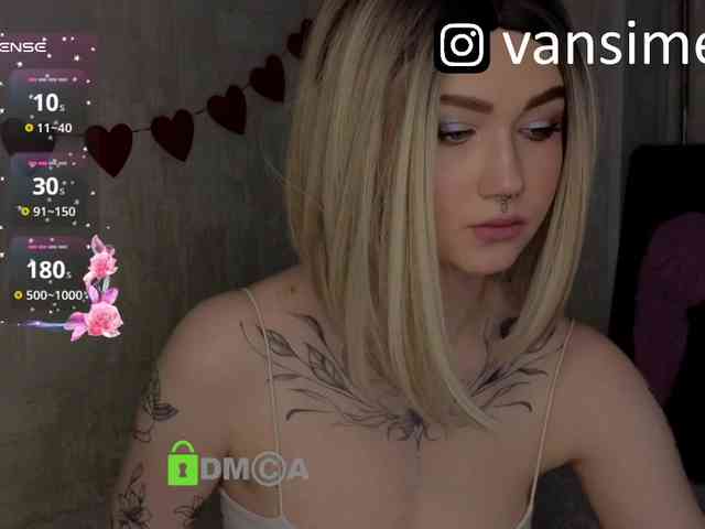 vaansi webcam