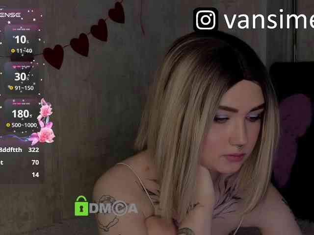 vaansi webcam
