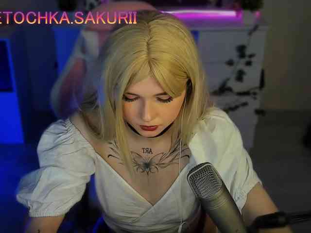 vanslly webcam