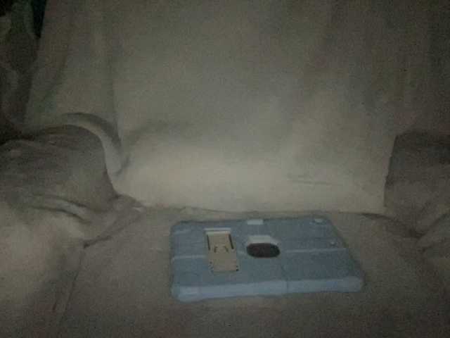 Preview of texasmommy