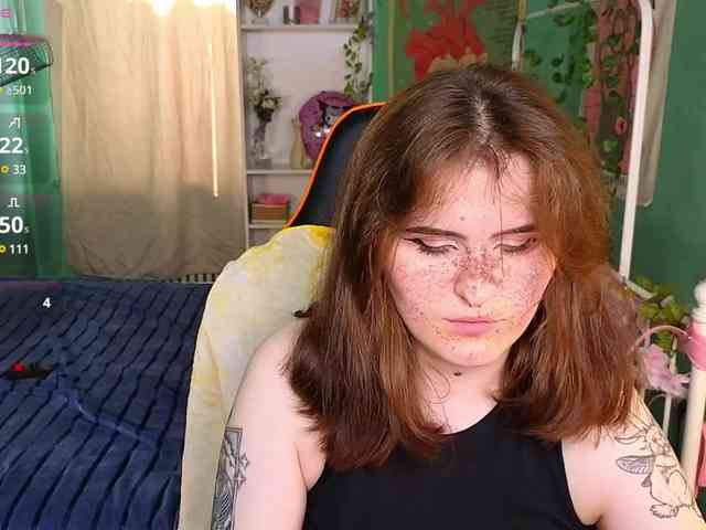 Dark-Shine webcam