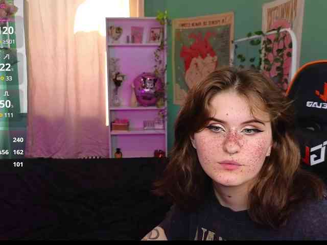 Dark-Shine webcam