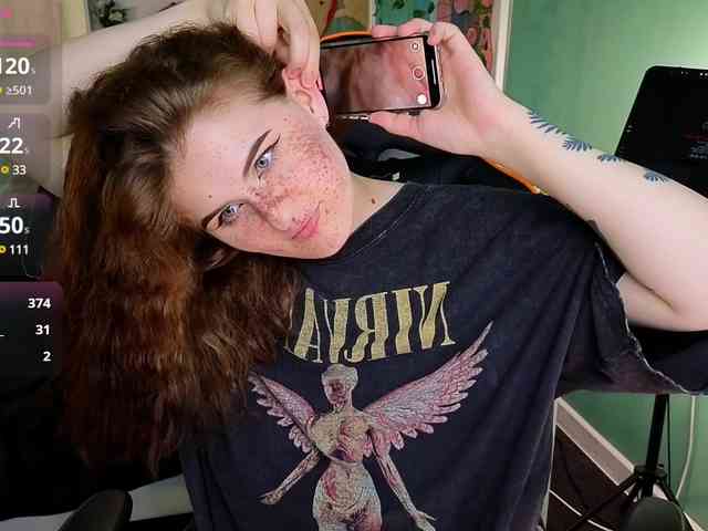 Dark-Shine webcam