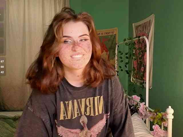 Dark-Shine webcam