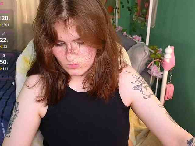 Dark-Shine webcam