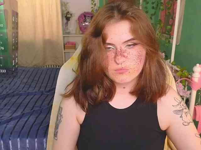 Dark-Shine webcam