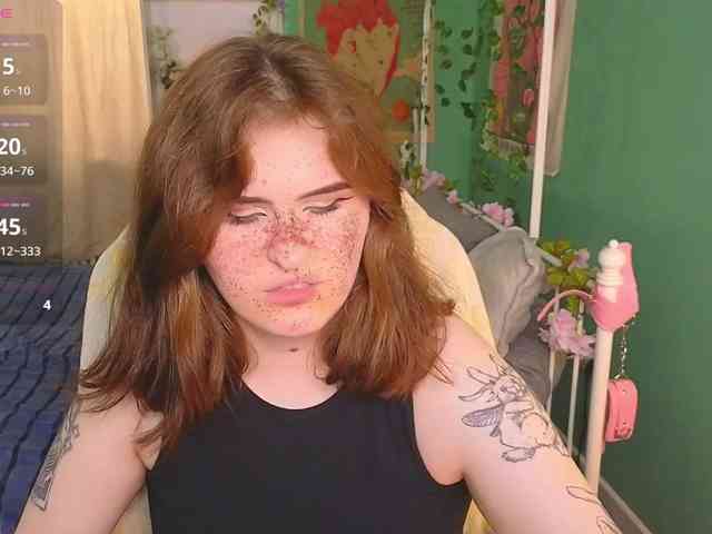 Dark-Shine webcam