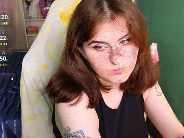 Dark-Shine webcam