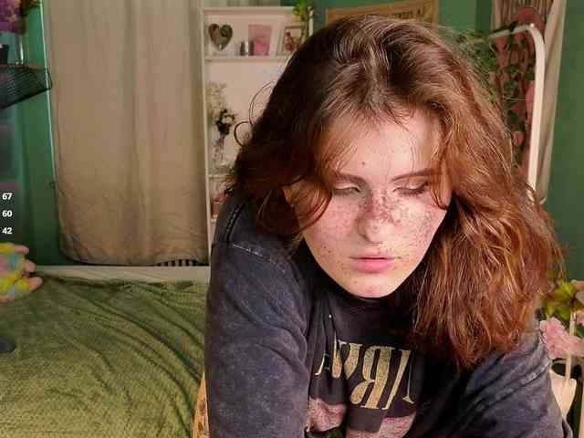 Dark-Shine webcam