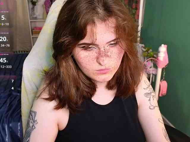 Dark-Shine webcam