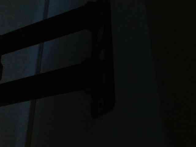 Joyce-Perry webcam