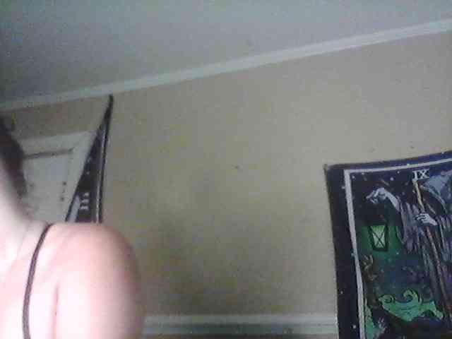Amiralily9 webcam