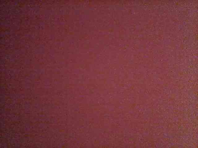 Amiralily9 webcam