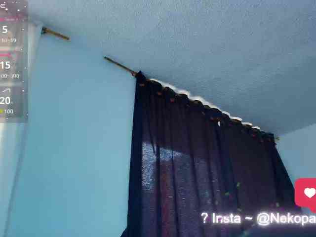 Nekopan webcam