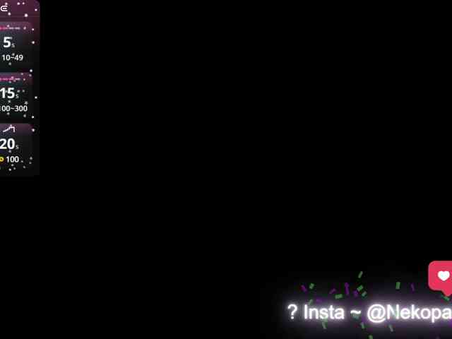 Nekopan webcam