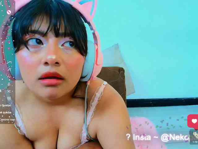 Nekopan webcam