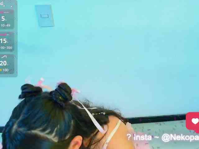 Nekopan webcam